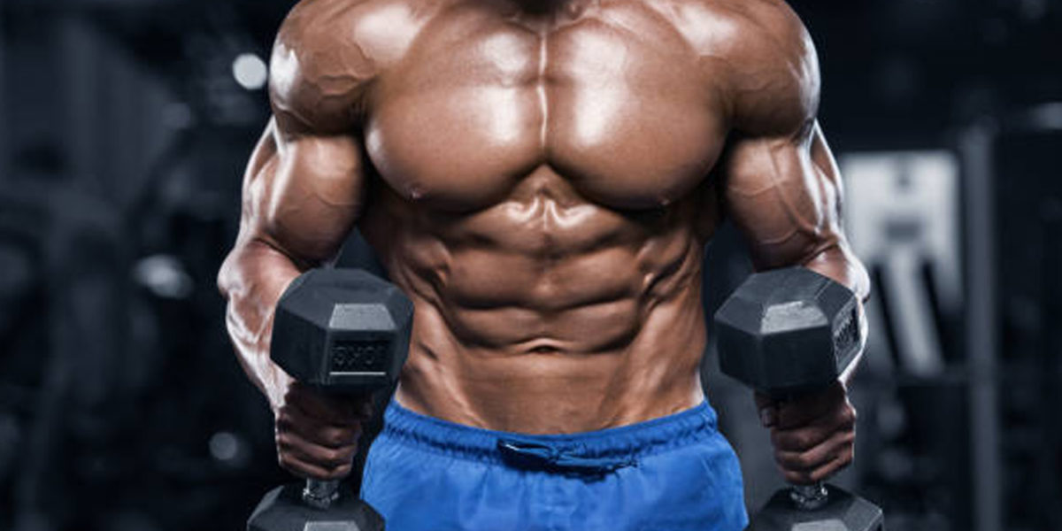 Muscle Building Program – bodiesbyakeem.com